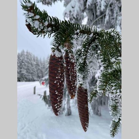 Zeit Fuer Dich Am Bergelchen, Winterberg Apartment Luaran gambar